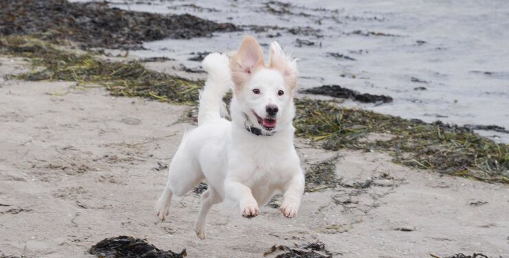 Foto: Thomas Degner.