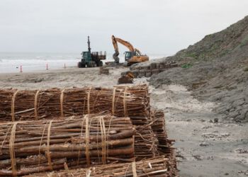 Kystsikring med pil ved Nr. Lyngby. Foto (arkiv): Pilebyg.