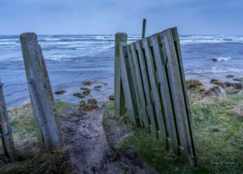 Blæst ved udløbet af Uggerby Å. Foto (arkiv): Jens Kranen.