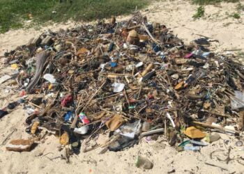 World Cleanup Day 2 696x522 1