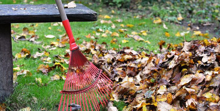 Naturens smådyr er langt vigtigere føde for småfugle end frøblandinger og mejsekugler. Derfor er det vigtigt at lade nedfaldne blade og kvas liggende i haven, hvor smådyr opholder sig i vinterhalvåret. Foto: Arkiv.