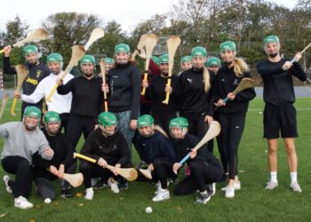 Hurling Gymnasium 1 740x454