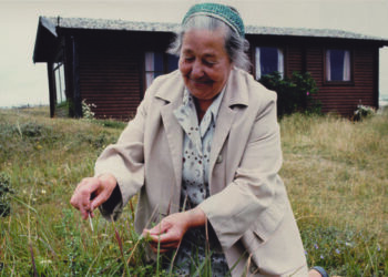 Signe Hansen på jagt efter urter til bjesk i omegnen af Hirtshals. Foto: Hirtshals Museum/VHM.