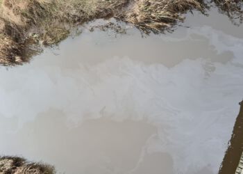 Forurenet vandløb. Foto: Arkiv.