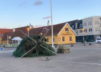 Juletrae 2