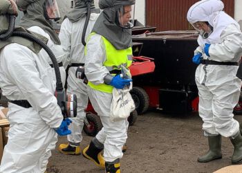 Debatten om aflivning af samtlige danske mink har været højlydt og med forskellige holdninger, men blandt eksperter er der bred enighed om det korrekte i regeringens beslutning. Foto: Per Frank Paulsen.