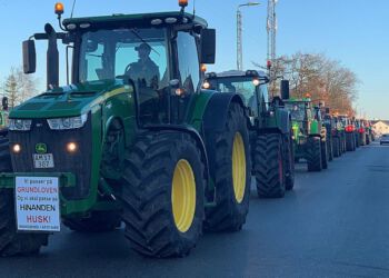 Foto: Mogens Jørgensen.