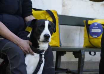 Hjemløs med hund. Foto: Arkiv.