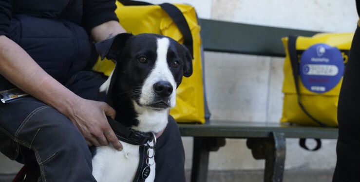 Hjemløs med hund. Foto: Arkiv.