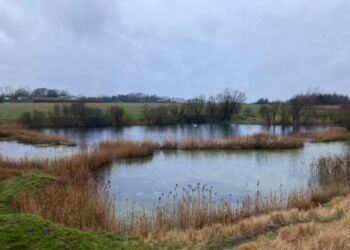 Lergraven sydvest for Bindslev. Foto: Arkiv.