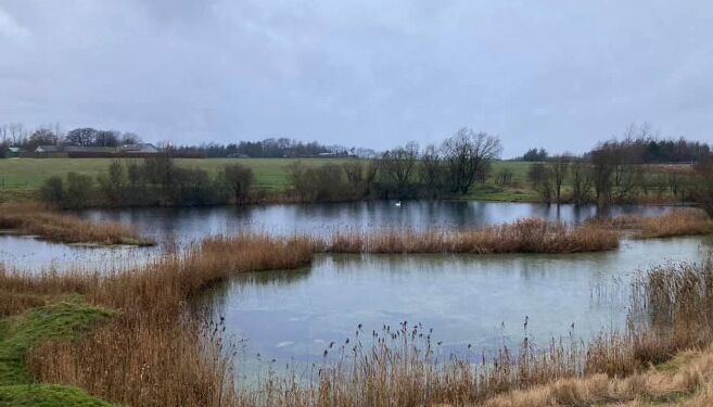 Lergraven sydvest for Bindslev. Foto: Arkiv.