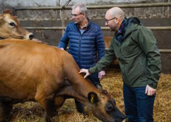 Fødevareminister Rasmus Prehn (S). Foto: Arkiv.