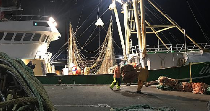 Hollandsk bomtrawler i havn. Foto: Arkiv.
