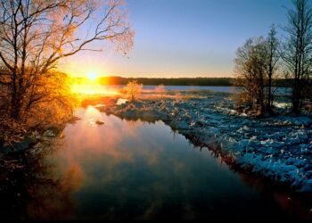 Foto (arkiv): Danmarks Naturfredningsforening.