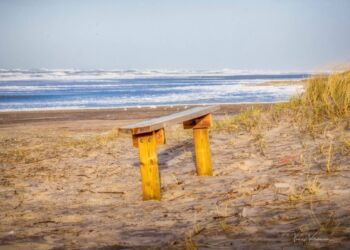 Havet ved Tornby Strand. Foto (arkiv): Jens Kranen.