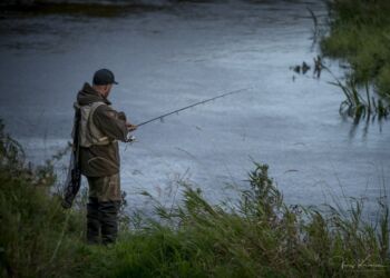 Uggerby Å Cup 2019. Foto (arkiv): Jens Kranen.