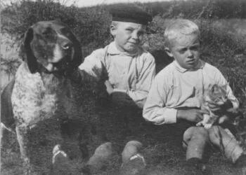 Hund VHM 9 660x493