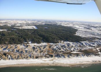 Tornby Klitplantage nord for Liver Å. Foto: Hans Hunderup.