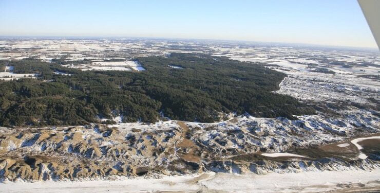 Tornby Klitplantage nord for Liver Å. Foto: Hans Hunderup.