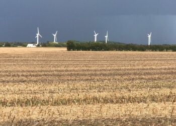 Nuværende vindmøller fotograferet i
august 2017 set fra Åbyen. Foto: Arkiv.