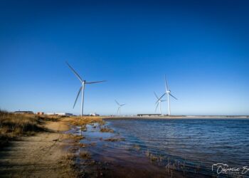 Møller på Hirtshals Havn. Foto: (arkiv): Erik Bilde.
