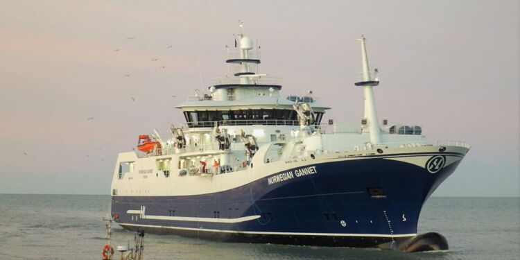 Norwegian Gannet med laks i indsejlingen til Hirtshals Havn. Foto (arkiv): Preben Andersen.