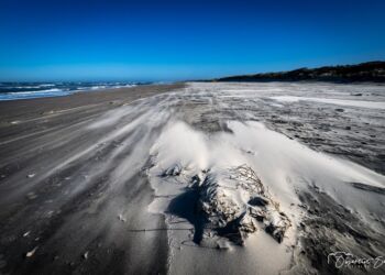 Foto (arkiv): Erik Bilde.