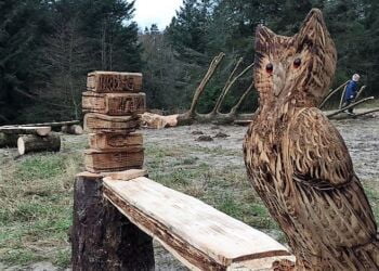 Tornby Klitplantage. Foto: Arkiv.