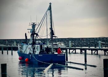 Foto: Mikael Justesen.