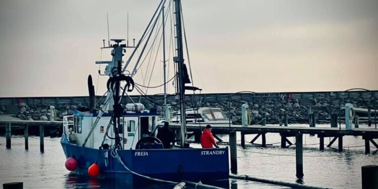 Foto: Mikael Justesen.