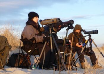 Ornitologer på udkig ved Skagen Fuglestation. Foto: Anders Østerby.