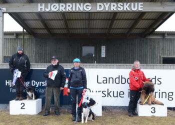 LP klasse champion vinder Anita Nørgaard Lyngby m/Yousee. Foto: Hanne Hvidegaard.