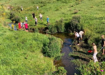 Natur & Teknologi med brug af Naturbasen hos 4. klasse fra Bindslev Skole. Foto: Arkiv.
