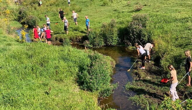 Natur & Teknologi med brug af Naturbasen hos 4. klasse fra Bindslev Skole. Foto: Arkiv.