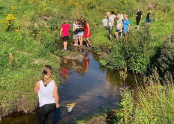 Natur & Teknologi med brug af Naturbasen hos 4. klasse fra Bindslev Skole. Foto: Arkiv.