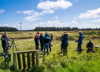 Naturmødet i Hirtshals. Foto (arkiv): Elling.