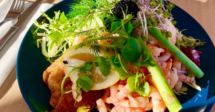 Stjerneskud med friskpillede rejer hos Café Møller i Hirtshals. Foto: Arkiv.