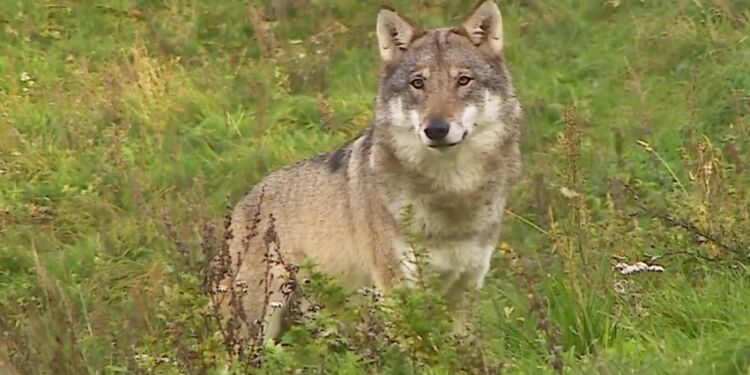 Foto (arkiv): TV2 Nord.