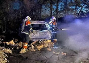 Foto: Per Frank Paulsen.