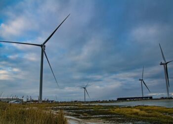 Hirtshals Havnefonds møller set fra Øststranden ud mod Kjul. Foto (arkiv): Elling.