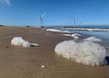 Møllerne på Hirtshals Havn. Foto: Arkiv.
