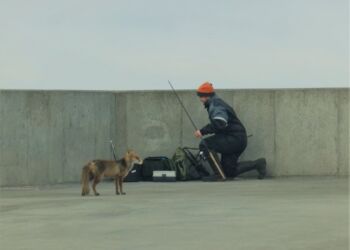 Mon lystfiskeren giver en bid? Foto: Preben Andersen.