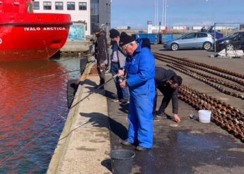 Sildefiskeriet er igen i gang fra kajkanten ved Jens Munks Vej på Hirtshals Havn. Foto: Arkiv.