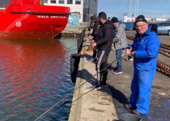 Sildefiskeri fra Jens Munks Vej på Hirtshals Havn. Foto: Arkiv.