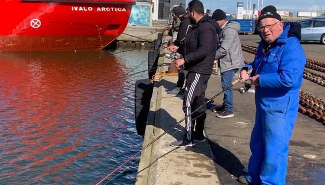 Sildefiskeri fra Jens Munks Vej på Hirtshals Havn. Foto: Arkiv.