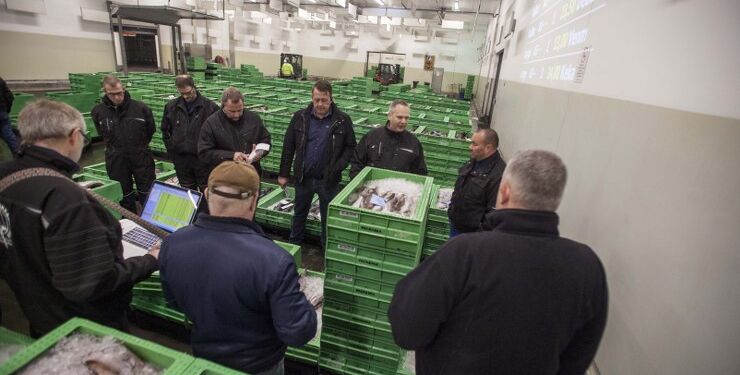 Fiskeauktion i Hirtshals. Foto: Arkiv.