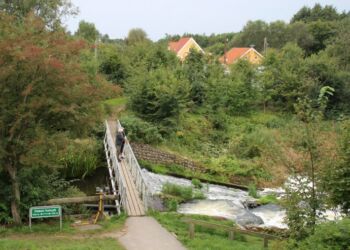 Fisketrappen ved Bindslev Gl. Elværk. Foto: Arkiv.