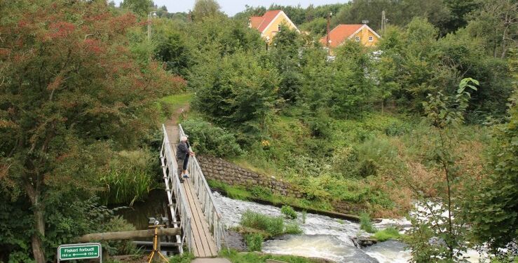 Fisketrappen ved Bindslev Gl. Elværk. Foto: Arkiv.