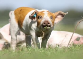 Foto: Cathrine Cocks.