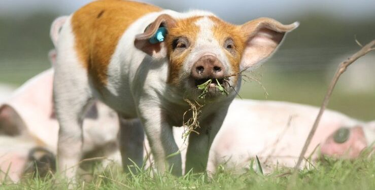 Foto: Cathrine Cocks.